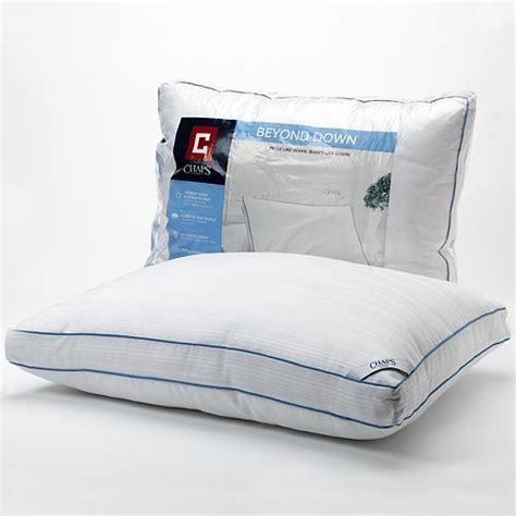 Chaps home firm beyond down down alternative pillow - Sleep easy every night with support from this Chaps Home down-alternative pillow. In white. FEATURES. 300-thread count. Down-alternative fiberfill. Cotton dobby stripe fabric. Hypoallergenic. Easy care. 